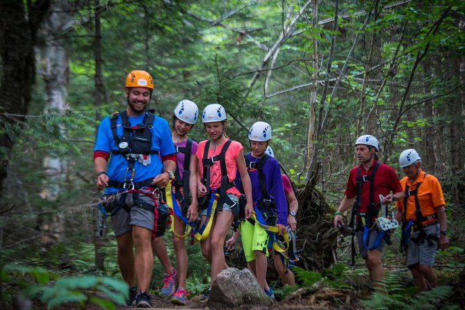 Mont Tremblant Guided Zipline Tour - Price and Value: Is 142.58 CAD Worth It?