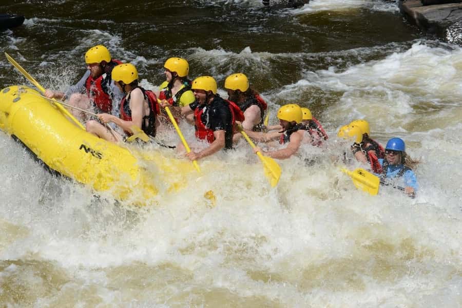 Mont-Tremblant: Half-Day White Water Rafting - Rouge River Rapids: What the 4 Hours Feel Like