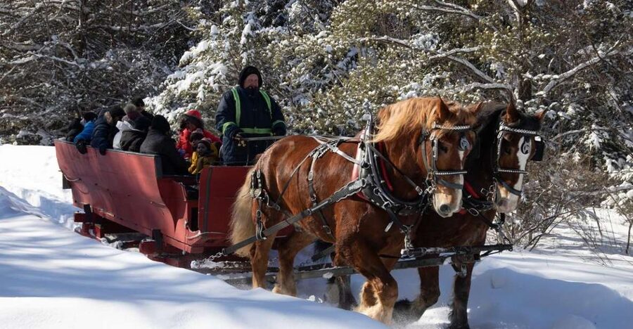 Mont-Tremblant: Sleigh Ride w/ Storytelling & Hot Chocolate - Entering Mont-Tremblant Winter, One Sleigh Ride at a Time