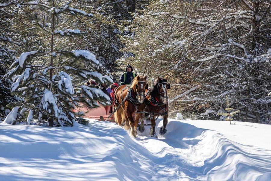 Mont-Tremblant: Sleigh Ride w/ Storytelling & Hot Chocolate - The 1-Hour Timeline: Fields, Then Forest, Then Stories