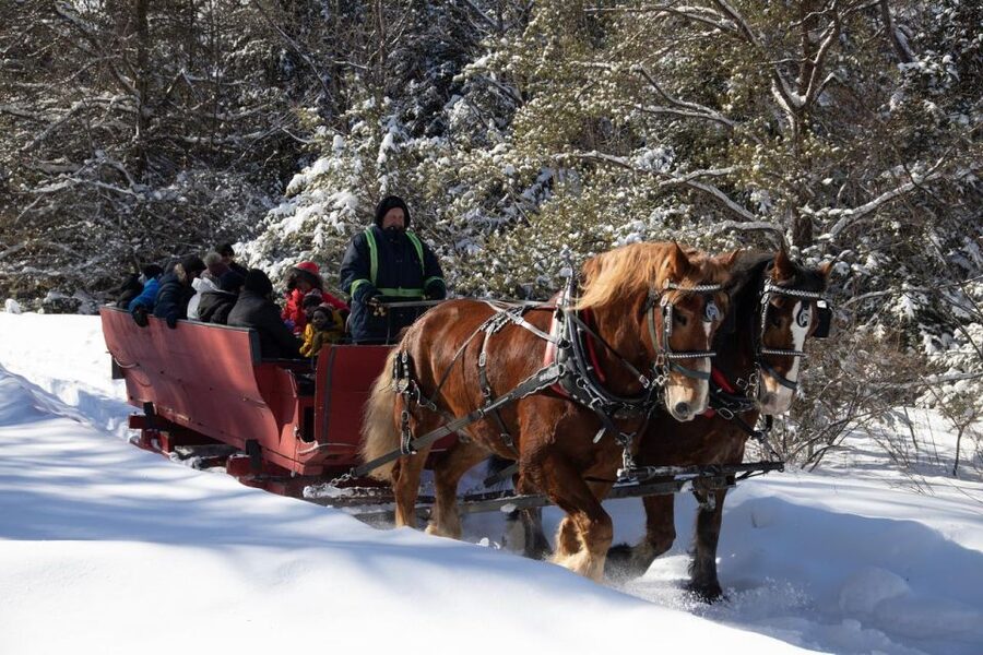 Mont-Tremblant: Sleigh Ride w/ Storytelling & Hot Chocolate - On Snow or Wheels: The Real Weather Plan