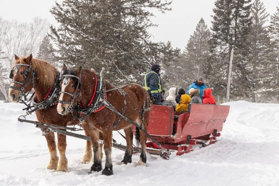 Mont-Tremblant: Sleigh Ride w/ Storytelling & Hot Chocolate - Price and Value: Is $44 Worth It?