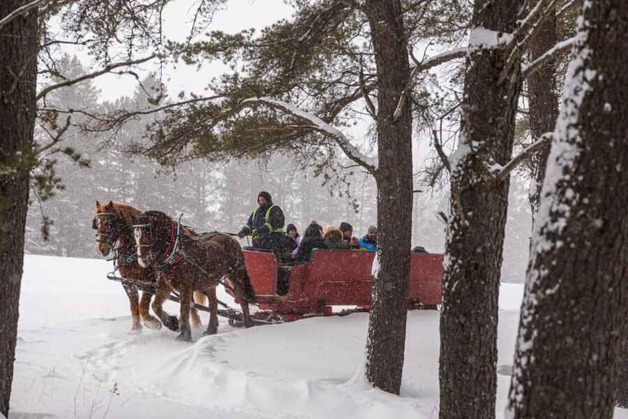 Mont-Tremblant: Sleigh Ride w/ Storytelling & Hot Chocolate - Who Should Book This Sleigh Ride (and Who Might Skip It)