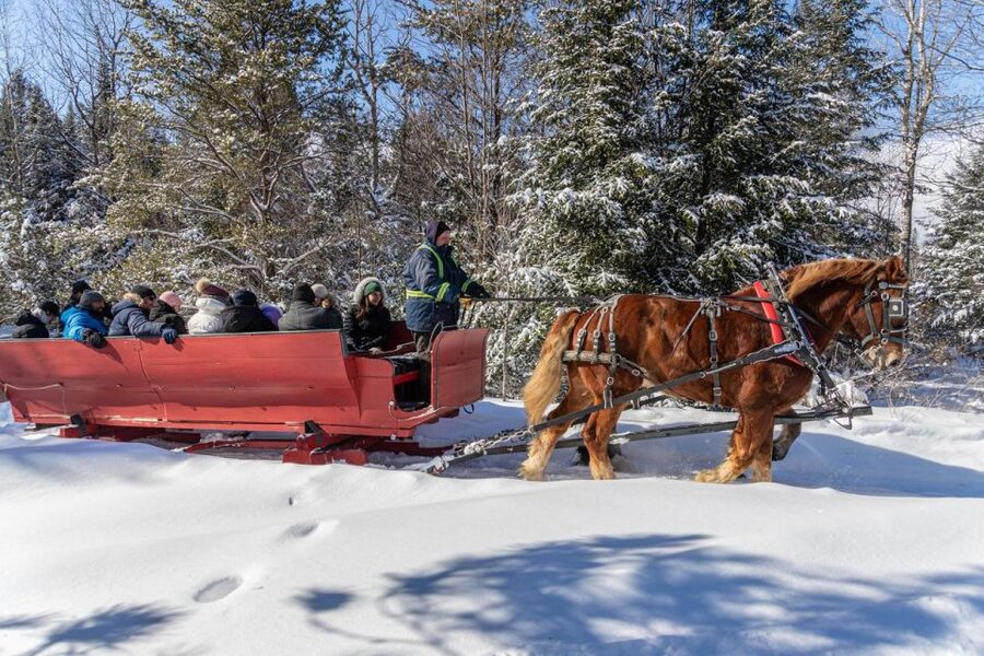 Mont-Tremblant: Sleigh Ride w/ Storytelling & Hot Chocolate - Where You Meet and How Not to Get Lost on Chemin Champagne