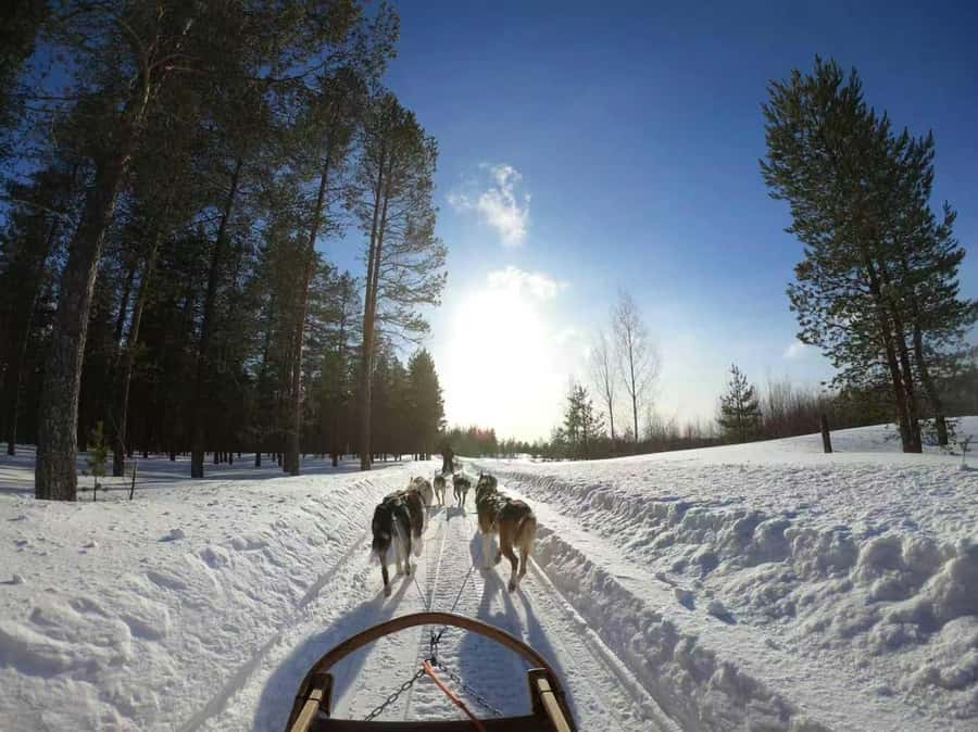 Mont-Tremblant Winter Day Trip (with Gondola Ride) - Gondola to the Summit: What You Are Really Paying For