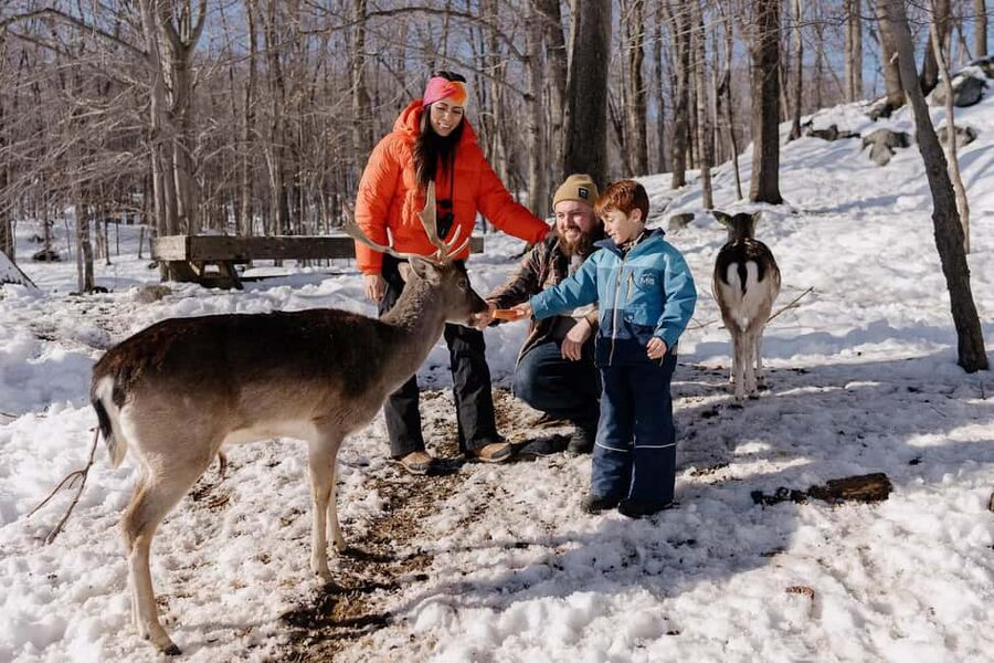 Montebello, QC: Morning VIP Tour at Parc Oméga - Key highlights you will feel in this VIP morning