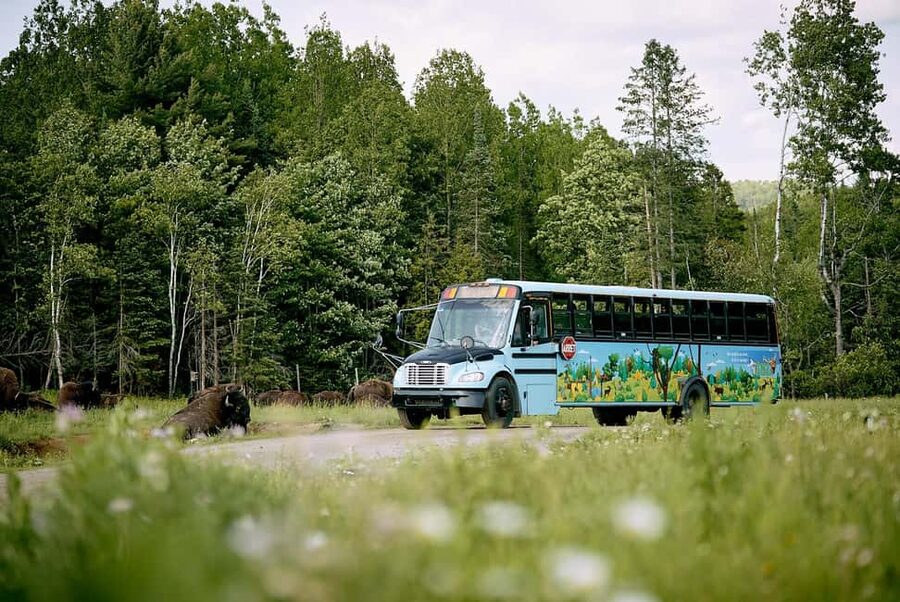 Montebello, QC: Morning VIP Tour at Parc Oméga - Montebello VIP access: why the early start matters at Parc Oméga