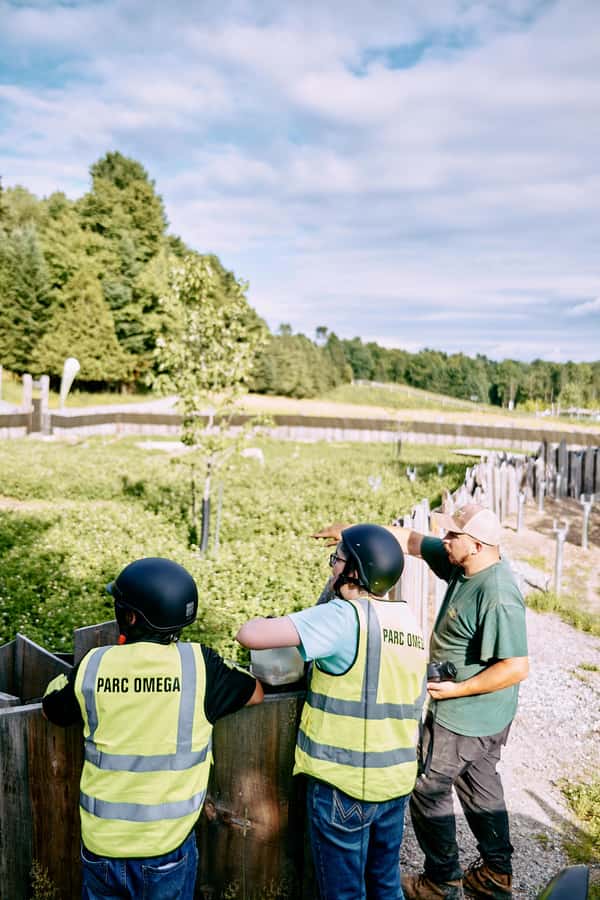 Montebello, QC: Parc Omega Guided Animal Feeding in an All-Terrain Vehicle - Why this ATV animal feeding ride is different at Parc Oméga