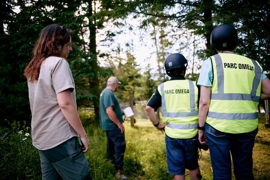 Montebello, QC: Parc Omega Guided Animal Feeding in an All-Terrain Vehicle - Meeting point in Montebello: where you park and what happens next