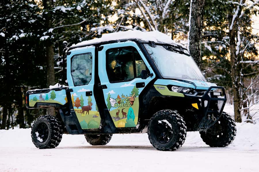 Montebello, QC: Parc Omega Guided Animal Feeding in an All-Terrain Vehicle - What your 2-hour guided route is like, and why the feeding stops matter