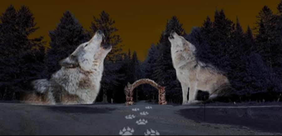 Montebello, QC: Parc Omega ONIRO Immersive Experience at Night - Quick Takeaways