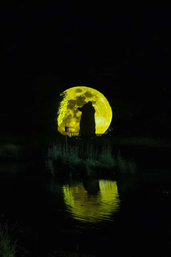 Montebello, QC: Parc Omega ONIRO Immersive Experience at Night - The Story: Oniro the Wolf Cub and the Dreams of Animals