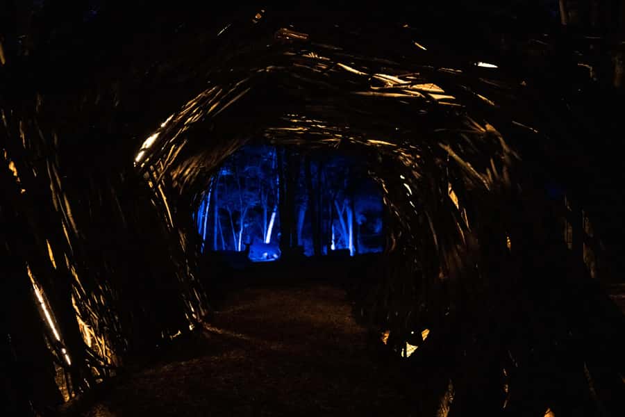 Montebello, QC: Parc Omega ONIRO Immersive Experience at Night - Projections, Music, and Voices: Why the Show Gets Such Strong Praise