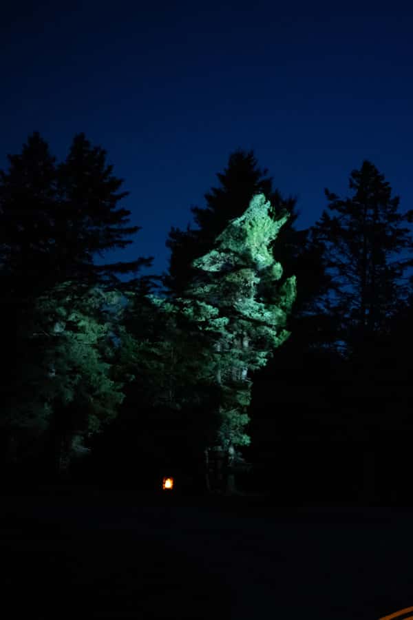 Montebello, QC: Parc Omega ONIRO Immersive Experience at Night - Best Fits: Who Will Enjoy Oniro Most