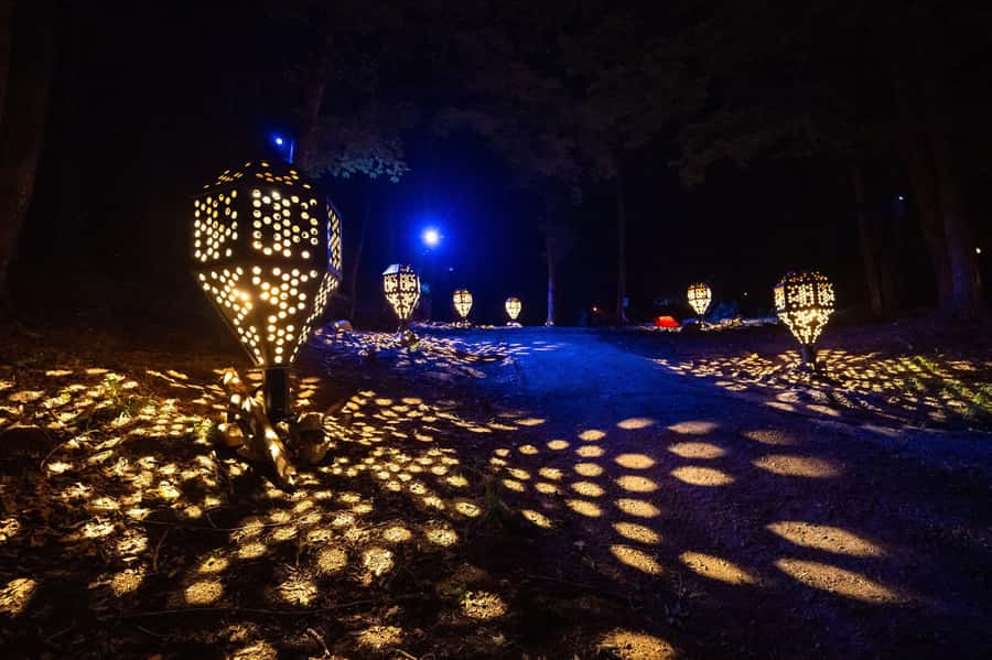 Montebello, QC: Parc Omega ONIRO Immersive Experience at Night - When to Skip the Oniro Trail (or Adjust Expectations)