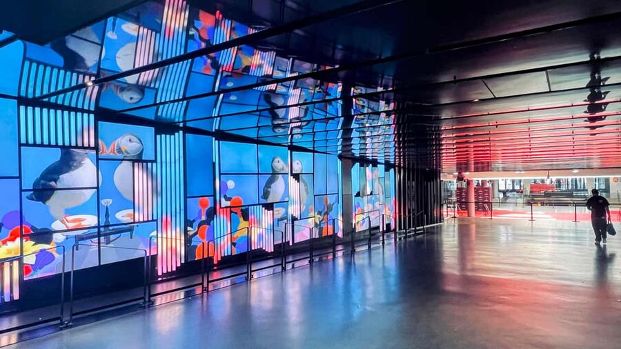 Montreal: 2-Hour Private Complete Hidden City Experience - What to Bring and How to Make the Most of the Underground