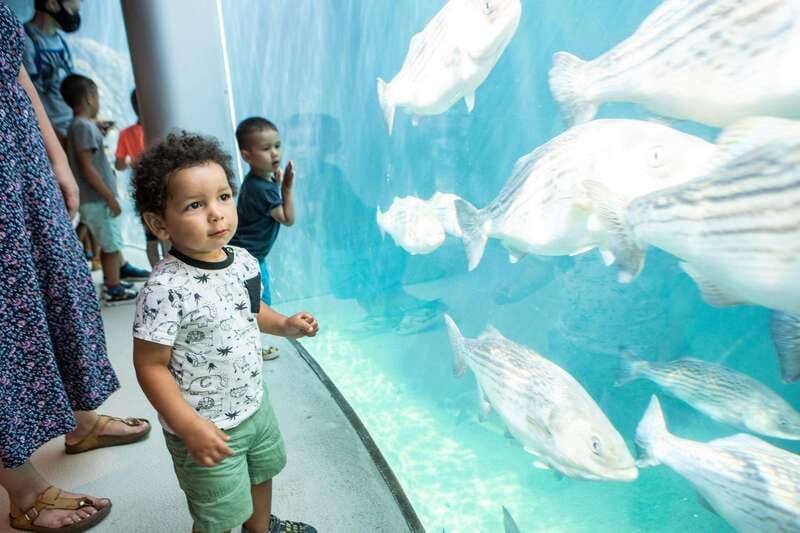 Montreal: 5 Attractions Pass - Timing in Montreal: avoid the most common pass-killers