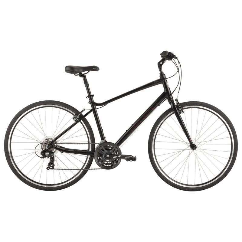 Montreal: All-Day Bicycle Rental - At a glance: the $41 all-day rental setup