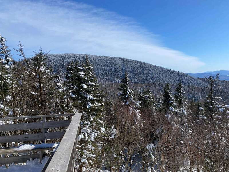 Montreal: Canadian Forest Guided Tour by Snowmobile - The Safety Briefing You’ll Be Glad You Get