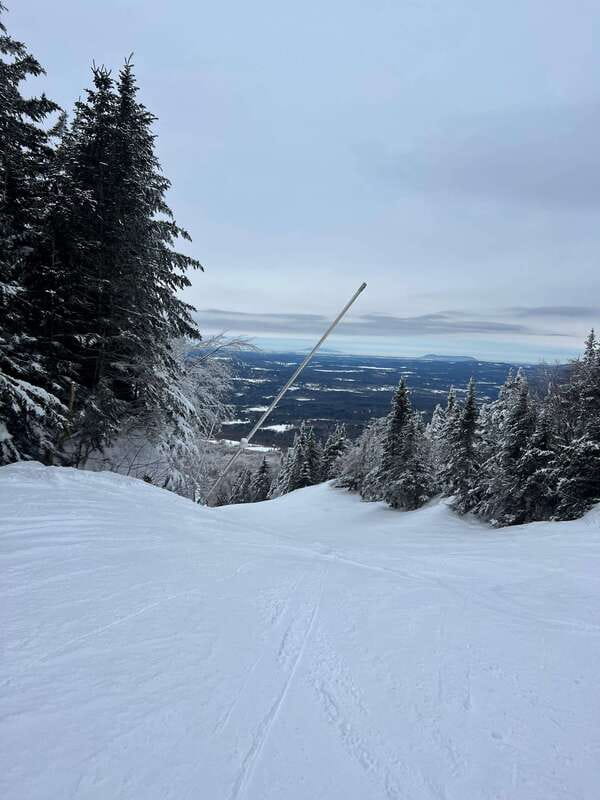 Montreal: Canadian Forest Guided Tour by Snowmobile - Riding Through Laurentides Winter Forests Toward Olympia Mount