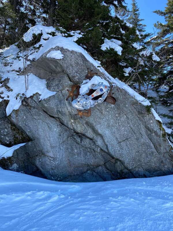 Montreal: Canadian Forest Guided Tour by Snowmobile - The Real Value Behind the $402 Price
