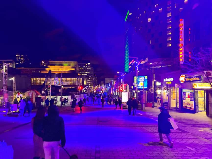 Montreal: Christmas Lights Private Walking Tour - Rue Sherbrooke to Place des Arts: culture and architecture first