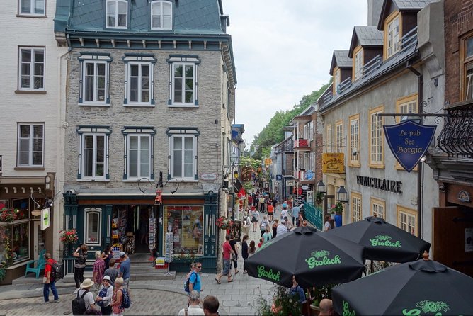 Montreal City Sightseeing Tour with Live Commentary - Why This Montreal Bus Tour Works So Well for First-Time Sightseeing