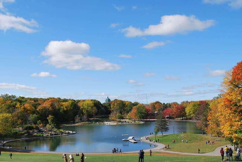 Montreal: Full-Day Small Group City Tour - Price Versus What You Get (And Why It’s Not Just the Stops)