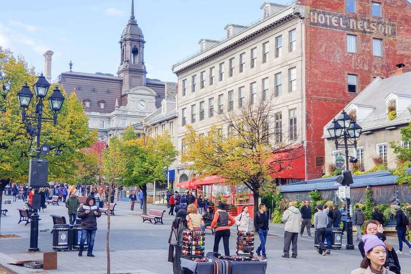 Montreal: Guided Bus Tour - McGill University and Université de Montréal: Campus Sights That Explain Montreal