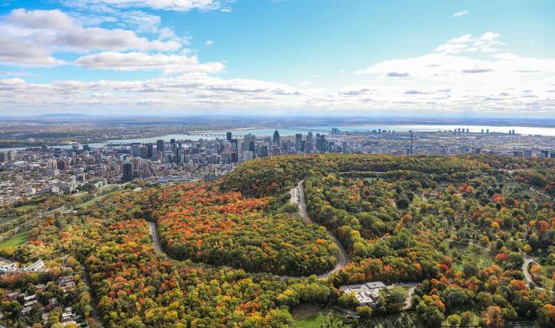 Montreal: Guided Helicopter Tour - Who Should Book This (and Who Might Prefer Another Option)