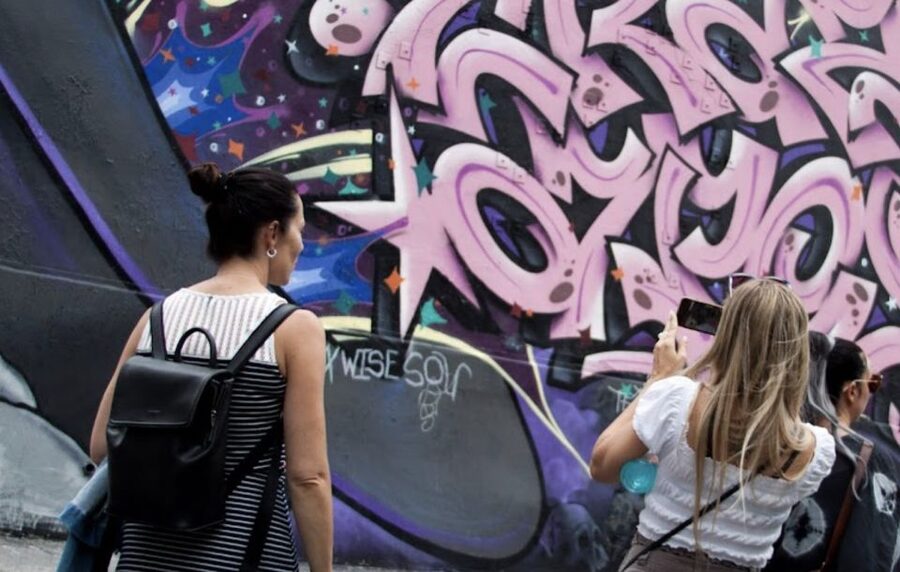 Montreal: Guided Walking Tour of Montreal's Murals - Price and Value: Is $25 Worth a Two-Hour Wall Walk?