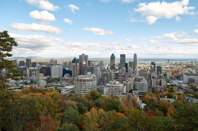 Montreal: Half-Day City Tour - The core idea: a tight loop that connects Montreal’s wow moments