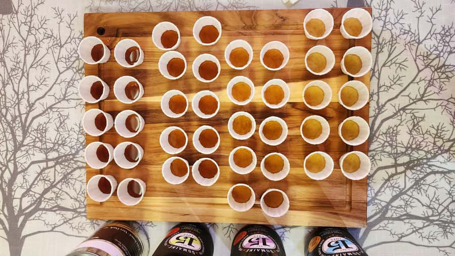 Montreal: Maple syrup talk and tasting! In French! - From sap to syrup: the harvest and production process you will actually remember