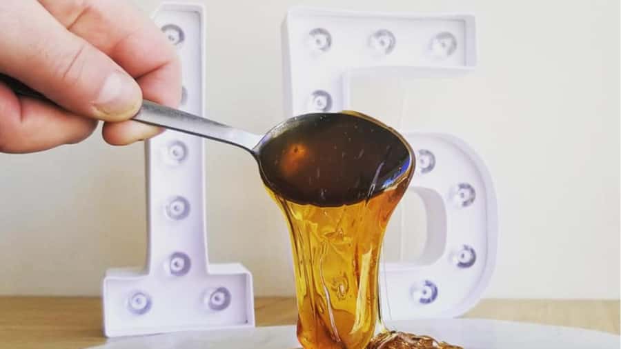 Montreal: Maple syrup tasting and conference. In english! - Key things to know before you go