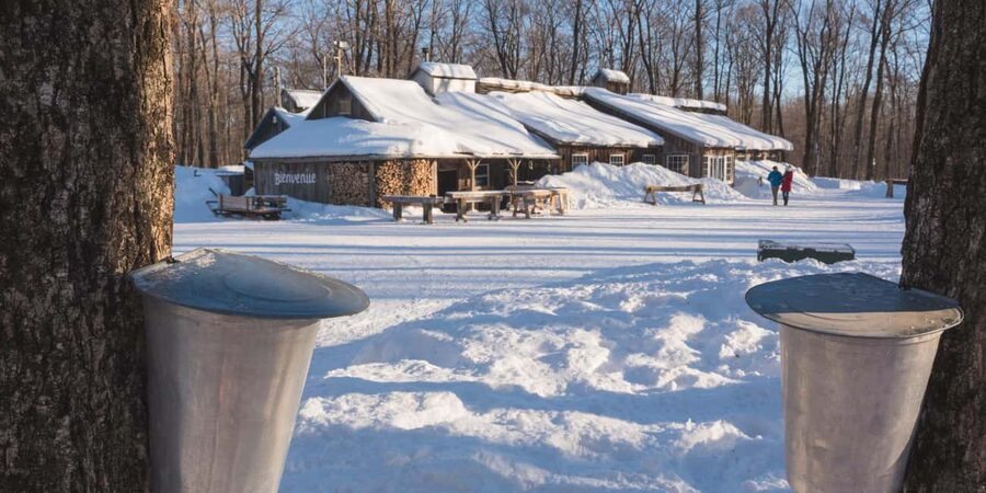 Montreal: Maple Syrup Tour with Sugar Shack & Local Cuisine - Chez Dany Sugar Shack: Lunch, Maple Syrup Bath, and On-Site Atmosphere
