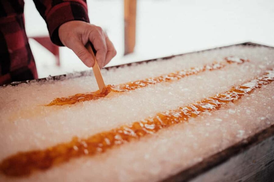 Montreal: Maple Syrup Tour with Sugar Shack & Local Cuisine - Montreal Pickup, Coach Time, and Why Timing Matters