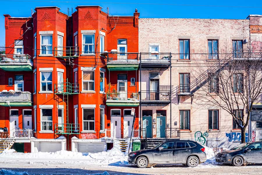 Montreal: Mile End Food Tour with 7 Local Favorites Tastings - Price and Value: $91 for 7 Tastings Plus Coffee and Cannoli