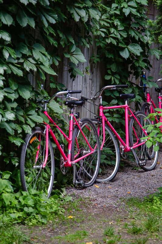 Montreal: Non Touristy Pink Bike Tour - Practical Tips So You Enjoy Every Kilometer