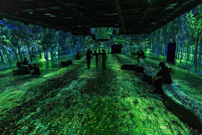 Montreal: OASIS Immersion Entry Ticket - The sound and light details that change everything (and the one safety note)