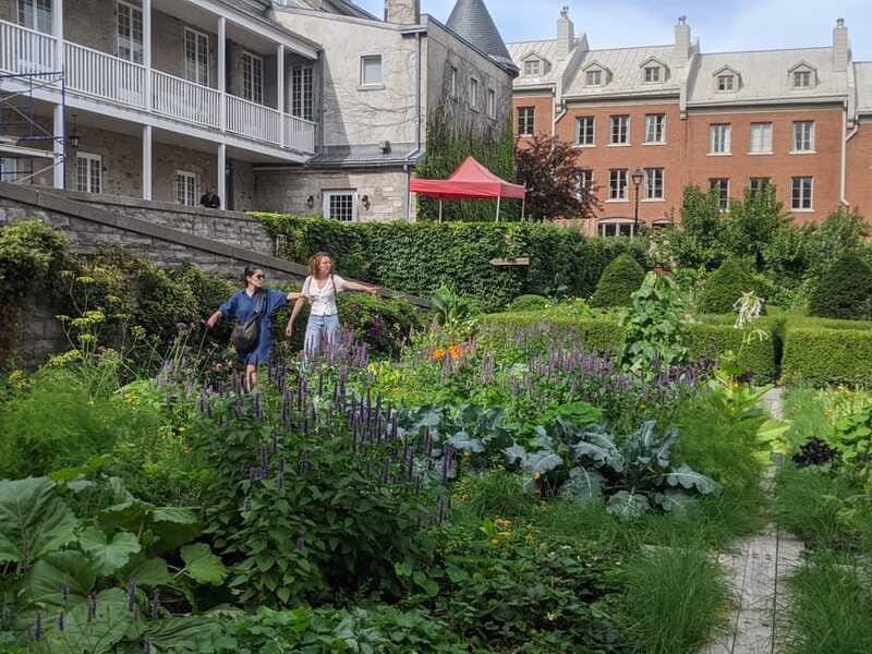 Montreal: Private Customizable Walking Tour of Old Montreal - L’Hôtel-Dieu at Cours Le Royer: Where the City’s First Hospital Began