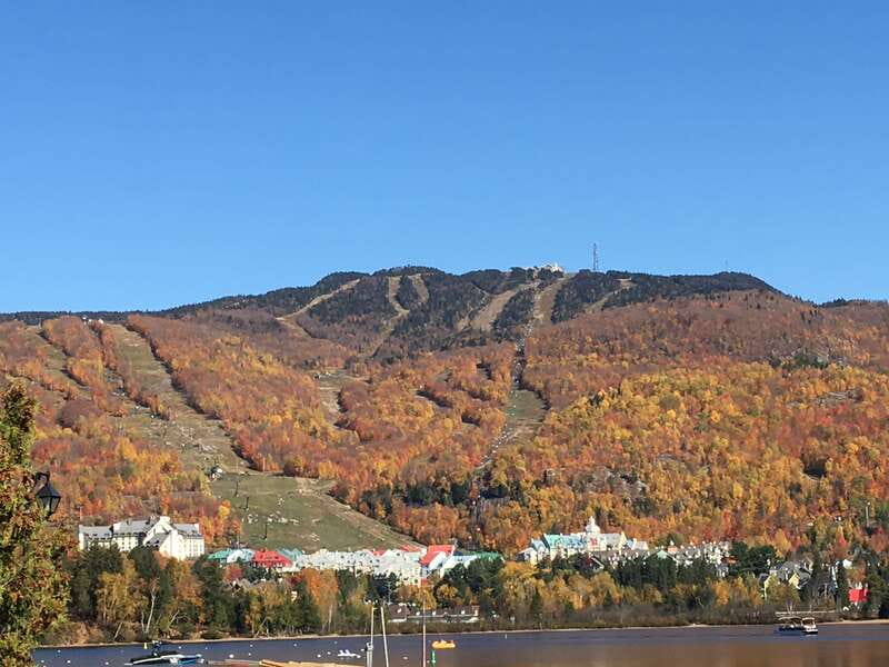 Montreal: Private Day Tour to Mont Tremblant - Your Guide and Driver: What “Private” Really Means