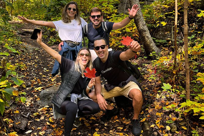 Montreal's Mount Royal Tour - Nature time that doesn’t feel like a lecture