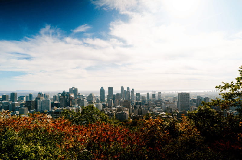 Montreal: Small Group Tour with River Cruise and Notre Dame - St Joseph’s Oratory and Notre Dame Basilica in the same day
