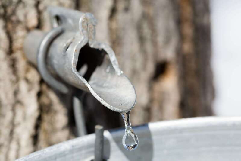 Montreal: Sugar Shack Maple Syrup Day Trip with Lunch - Private Pickup to Quebec Sugar Country: the 5-hour reality
