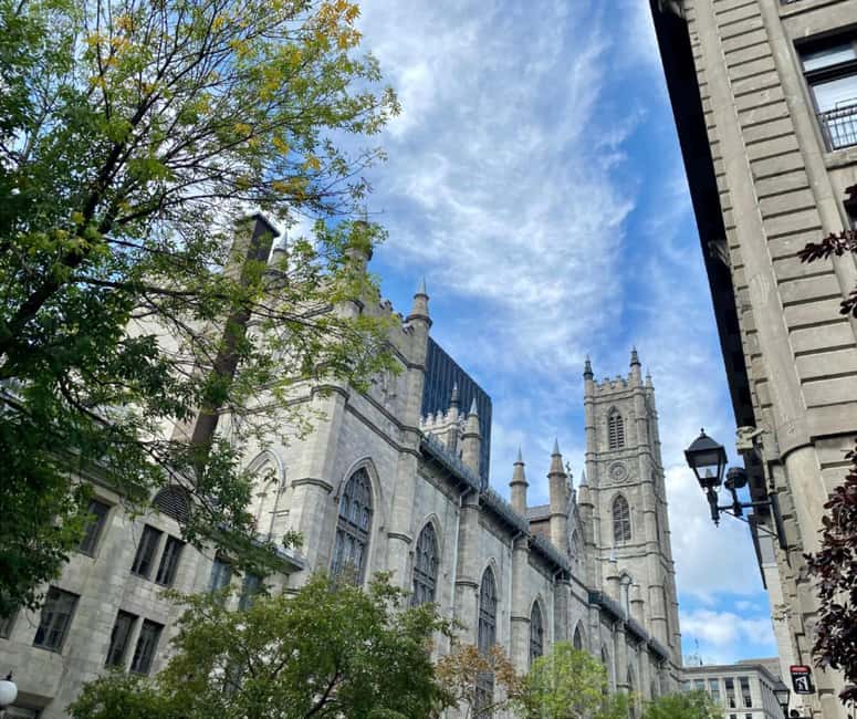 Montréal: The Original Old Montréal Walking Tour - Cold-Weather Reality: Indoor Breaks, Underground Montreal, and the Basilica Area