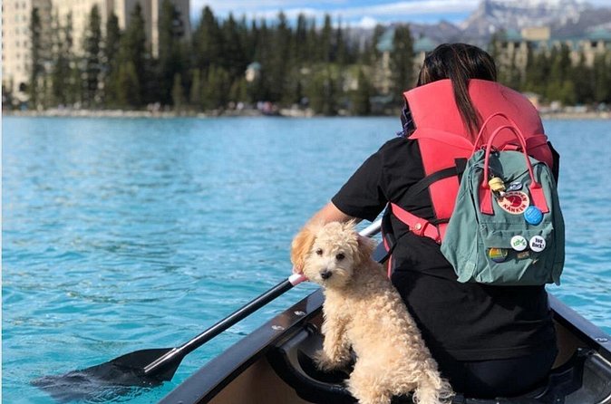 Moraine Lake and Lake Louise Shuttle | End of Summer Seat Sale! - Moraine Lake pile of rocks viewpoint: how to use the included access