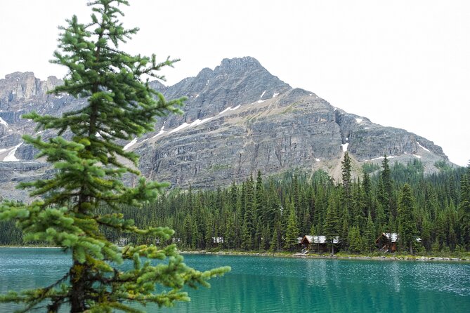 Moraine Lake and Lake Louise Sightseeing Half Day Tour - Who this tour suits best