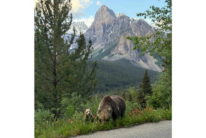 Moraine Lake, Lake Louise Afternoon Tour Half day From Banff - Upfront Value: What You Get for $168.60 in Banff