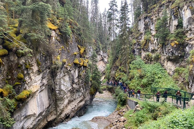 Moraine Lake Lake Louise Johnston Canyon Emerald Lake Day tour - Johnston Canyon in 1 hour, catwalks and waterfall views