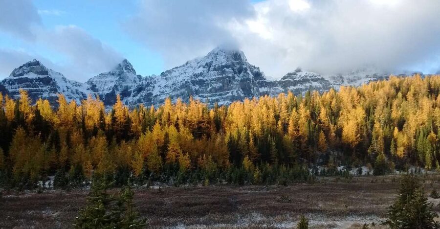 Moraine Lake & Larch Valley Hike - Key things to love about the Moraine Lake & Larch Valley hike